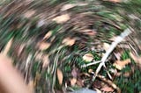 The photo shows a swirl of leaves, grass, a stick, all blurred by the phone moving as the photo was being taken.