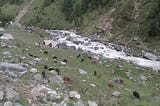 Sierra Foot-slogs — A Himalayan Souvenir.