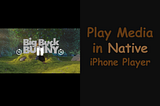 Media Playback with iPhone’s Native Media Controller