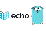 Wrap Echo’s JWT middleware to bypass invalid tokens