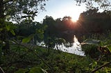 Walking the Capital Ring