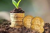 GrowBits: Gardening with Bitcoin