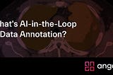 What’s AI-in-the-Loop in Data Annotation?