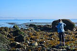 Highway 101, scenic byway to angling adventure
