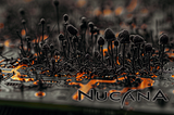 NuCana