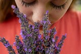 The Smell of Hope: Uncovering a Secret Weapon Against Cognitive Decline