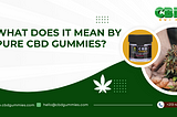 What Does It Mean By Pure CBD Gummies?