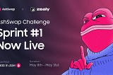 AshSwap Challenge on Zealy: Sprint 1 (8/5–31/5)