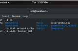 GUI_Container_On_Docker