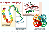 From AlphaFold to ESM3: The Era of Programmable Biology