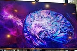 Exploring the Astronomical Universe Within Us — The Brain and The Mind at BrainMind Summit-Stanford