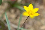 Springtime Magic With Bright Colors
