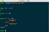 REPL Based Development Explained to C++/Java and C# Developers