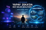 LLM sonrası Yapay Zeka (World Model Nedir ?)