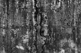Black and white photograph of a highly textured concrete wall that is covered with so much mold and funk that it looks like an abstract painting. The feeling is mysterious, playful, and a bit creepy.