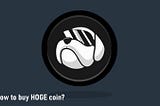 How to buy a Hoge coin?