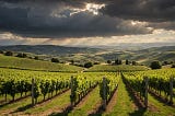 Le Terroir, cette notion très française