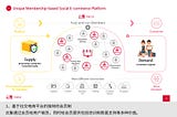 What Makes Social Commerce in China Different from Other Markets