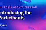 The Radix Grants Program의 참가 Team을 소개합니다.