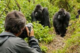 10 Days of Wildlife in Rwanda and Uganda