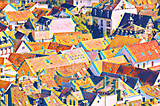 Abstract painting of a sea of houses depict a dense neighborhood seen from an arial view; roofs are yellows, oranges, deep reds and maroons, with splashes of pink and blue for windows and trim.