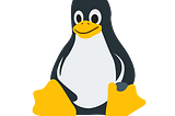 Linux Basics