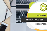Best Workday Tenant Access for practice