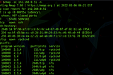 Network Perimeter Device Testing