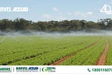 HARVEL Group Introducing Micro Irrigation Systems!!
