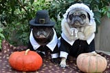 Popular Puritan Dog Names