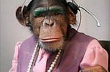 Real monkey dressed in a pink blouse and vest with makeup wears a voice headset and stares at the viewer.