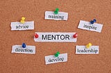 “Find a mentor , safeguard your future”