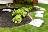 Mulching Services