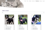 PetSpot — Portfolio Project