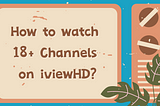 How to Watch 18+ IPTV Adult Channels on iviewHD?