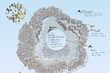 From Binoculars to Binomials: Birding and Data Viz, Together at Last