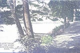 The postcard, written: “A quiet nook, by the river, Sunderland, Mass”