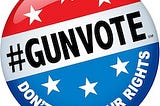 Gun Vote 2024