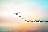 An image of a bird flying, appearing to break free from and transform an image of chains.