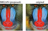 逼真的超解析度GAN: Photo-Realistic Single Image Super-Resolution Using a GAN