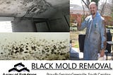 Black Mold Specialist in Greenville SC — Array of Solutions