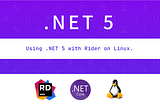Using .NET 5 with Rider on Linux.