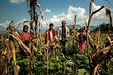A new way to think about would-be climate migrations: Turning vulnerabilities into adaptive…