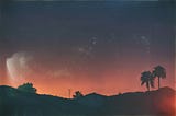 Palm trees in a hot and sticky sunset, the main image to Two Brothers, One Phonecall by Martin Wærn.