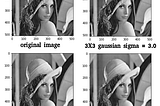A Beginners Guide to Computer Vision (Part 1)-Filtering
