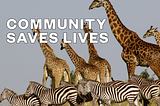 Community Saves Lives