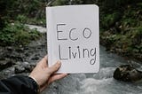 Sustainable Living: Eco-Friendly Practices for a Greener Future