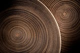 Role of Dendrochronology in Climate Change Research