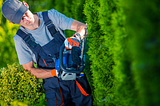 Hedge Trimming Techniques for a Neat and Tidy Garden