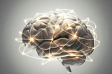 De las Ventas a las Aulas: Lecciones de Neuromarketing para la Innovación Educativa